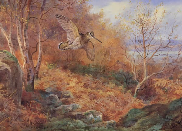 Archibald Thorburn Autumn at Loch Maree